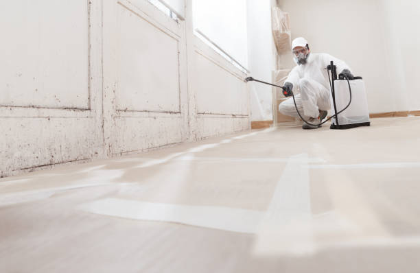 24/7 Emergency Black Mold Remediation experts in Newport, NC